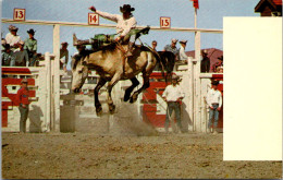 Canada Calgary Expositon & Stampede Bronco Riding - Calgary