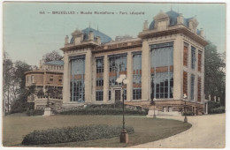 Bruxelles - Musée Montéfiore - Parc Léopold - (Brussel, België/Belgique) 1910 - Bruxelles-ville