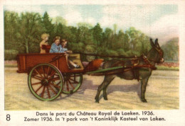 CHROMO CHOCOLAT COTE D'OR ENFANTS ROYAUX 1ere SERIE N° 8 DANS LA PARC DU CHATEAU DE LAEKEN 1936 - Côte D'Or