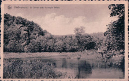 Herbeumont Le Semoes Pres Du Moulin Deleau - Herbeumont