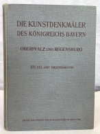 Die Kunstdenkmäler Von Oberpfalz & Regensburg; Bezirksamt Tirschenreuth. - Architecture