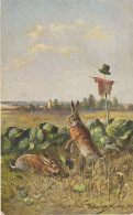 Illustr. MÜLLER Jan (München 1901) Couple De Lapins Dans Un Champ De Choux - Sonstige & Ohne Zuordnung