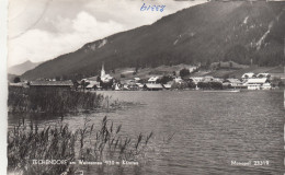 D3090) TECHENDORF Am WEISSENSEE- S/W  Kärnten - Schilf Im Vordergrund Und Blick Auf Andere Seeseite - Weissensee