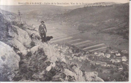 Vallee De La Beuciniere Vue De La Jargogne Berger Avec Ses Moutons   1914 - Belfort – Siège De Belfort