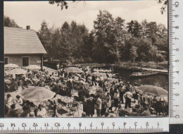 Lehde HO Gaststätte Fröhlicher Hecht,  Lübbenau Spreewald Nicht Gelaufen ( AK 3379)  Günstige Versandkosten - Lübbenau