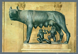 °°° Cartolina - Roma N. 2052 Lupa Capitolina Nuova °°° - Museos