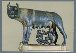 °°° Cartolina - Roma N. 2053 Lupa Capitolina Nuova °°° - Museums