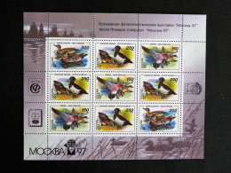 RUSSIE RUSSIA ROSSIJA URSS CCCP 6078 à 6080 ** MNH PETITE FEUILLE ENTIERE - CANARD DUCK - Hojas Completas