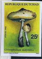 TCHAD CHAMPIGNONS, CHAMPIGNON, MUSHROOM, Setas, Yvert N°478 (IMPERORATE, NON DENTELE) ** MNH - Mushrooms