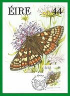 Irland / Eire 1985  Mi.Nr. 562 , Marsh Fritillary - Fauna And Flora Series - Maximum Card - First Day II.IV.1985 - Maximumkarten