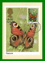 Großbritannien  1981 Mi.Nr. 877 , Butterflies - Peacock - Maximum Card - First Day Of Issue 13 May 1981 - Maximumkaarten