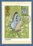 Großbritannien  1981 Mi.Nr. 876 , Butterflies - Large Blue - Maximum Card - First Day Of Issue 13 May 1981 - Maximum Cards