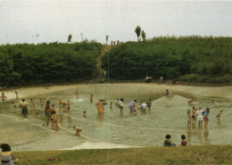 Condé Sur L'Escaut - Le Parc Chabaud Latour "animés" - Conde Sur Escaut