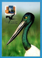 Australien 1997  Mi.Nr. 1644 , Riesenstorch / Fauna + Flora - Maximum Card - First Day Of Issue 2 June 1997 - Cartoline Maximum