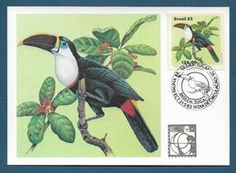 Amerika / Brasilien  1983 , Serie Fauna Brasileira - Tucanos - Maximum Card Nr. 015107 - First Day  21.5.83 - Tarjetas – Máxima