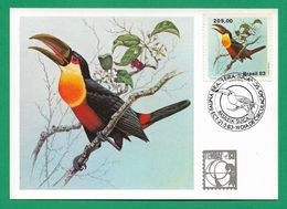 Amerika / Brasilien  1983 , Serie Fauna Brasileira - Tucanos - Maximum Card Nr. 025411 - First Day  21.5.83 - Maximumkaarten