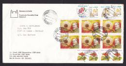 Brazil: Cover To Netherlands, 1993, 14 Stamps, Inflation, Olympics, Gun Shooting, Flower (minor Creases) - Cartas & Documentos