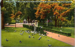 Florida St Petersburg Feeding The Pigeons In Willimas Park 1942 - St Petersburg