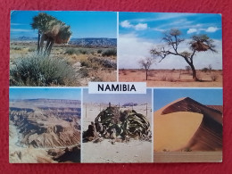 POSTAL POST CARD CARTE POSTALE AFRICA AFRIQUE NAMIBIA QUIVER TREE FISH RIVER CANYON WELWITCHIA SOSSUSVLEI POSTKARTE..... - Namibie