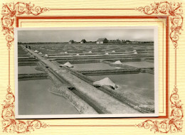 CARNAC    ** LES SALINES ** MARAIS SALANTS ** - Carnac