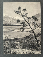 Tanymas River 	1956 Izogiz - Tajikistan