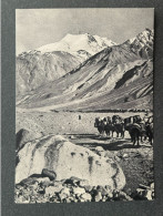 Kyrgyzstan 1956 Izogiz - Kirgisistan