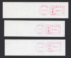1995  Set Of 3 Ascom Hasler SPECIMEN  Franking Labels $0,43, $1.55 And $99,99 - Stamped Labels (ATM) - Stic'n'Tic