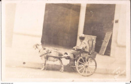 Cuba - Santiago Goat Cart Cabra - Kuba