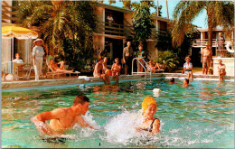 Florida Sarasota The Golden Host Motor Hotel Swimming Pool 1966 - Sarasota
