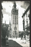 12911 - ESPAGNE - SEVILLA - La Giralda - Sevilla