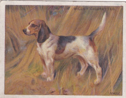 Dogs A Series 1911 - No9 Beagle  - Wills Cigarette Card - Original Card - Large Size - Antique Card - Wills