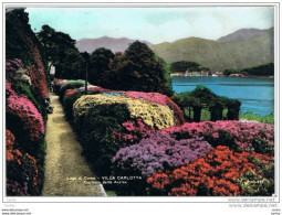 LAGO  DI  COMO:   VILLA  CARLOTTA  -  FIORITURA  DELLE  AZALEE  -  FOTO  -  FG - Torres De Agua