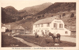 65-ARTIGUES- PLATEAU D'ARTIGUES- CASCADE DE GRIPP-HÔTEL DES PYRENEES - Otros & Sin Clasificación