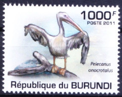 Burundi 2011 MNH, Great White Pelican, Water Birds - Pelikane