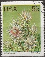 SOUTH AFRICA 1977 Succulents - 5c. - Serruria Florida FU - Used Stamps