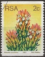 SOUTH AFRICA 1977 Succulents - 2c. - Mimetes Cucullatus FU - Usati