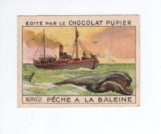 PUPIER Norvège Norway Pêche à La Baleine  Whaling Bien 2 Scans Pub: Chocolat Pupier 68 X 50 Mm - Other & Unclassified