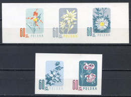 POLOGNE < ESSAI Yvert N° 904 à 908 < Fleur Iris + Chardon + Edelweiss + Lis + Marguerite - Flore - Wzor Spécimen Modèle - Varietà E Curiosità