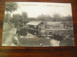 CPA - Locminé (56) - Lavoir - Blanchisseuses Lavandières - Le Tarun - 1909 - TTB (HO 26) - Locmine