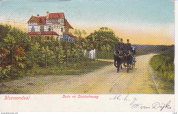 Bloemendaal  Duin En Daalscheweg 1904 RY17030 - Bloemendaal