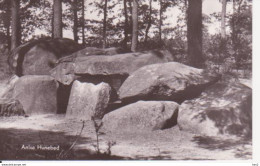 Anloo Hunebed RY16962 - Dolmen & Menhire