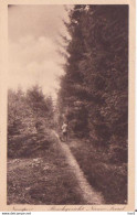 Nunspeet Boschgezicht Nieuw-Soerel 1929 RY16726 - Nunspeet