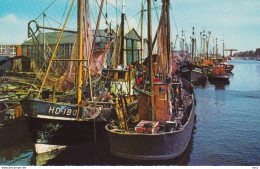 Den Helder Binnenhaven Boten RY17481 - Den Helder