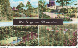 Bloemendaal 4-luik Het Kopje RY17391 - Bloemendaal