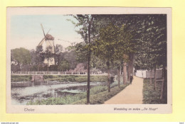 Tholen Wandeling, Molen De Hoop 1919 RY19202 - Tholen