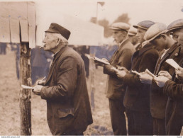 Boxtel Fokveedag Persfoto 1-10-1931 KE067 - Boxtel