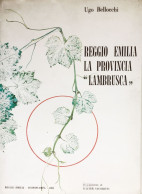 UGO BELLOCCHI REGGIO EMILIA LA PROVINCIA "LAMBRUSCA" TECNOSTAMPA 1982 - Histoire, Biographie, Philosophie