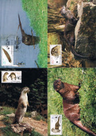 Allemagne Orientale - WWF : Loutre (Lutra Lutra) CM 2732/2735 (année 1987) - Cartes-Maximum (CM)