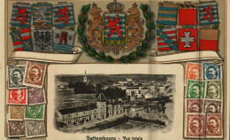 BETTEMBOURG - Vue Totale - La Gare - Carte En Relief - Bettemburg