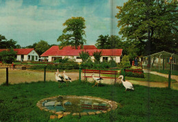 BETTEMBOURG - PARC MERVEILLEUX - Bettembourg